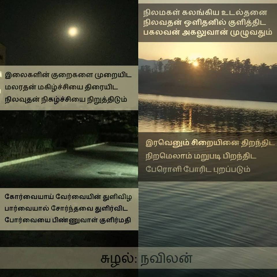 சுழல் - நவிலன்