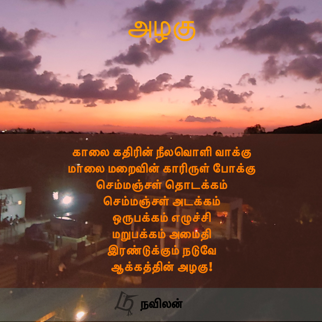 அழகு - நவிலன்