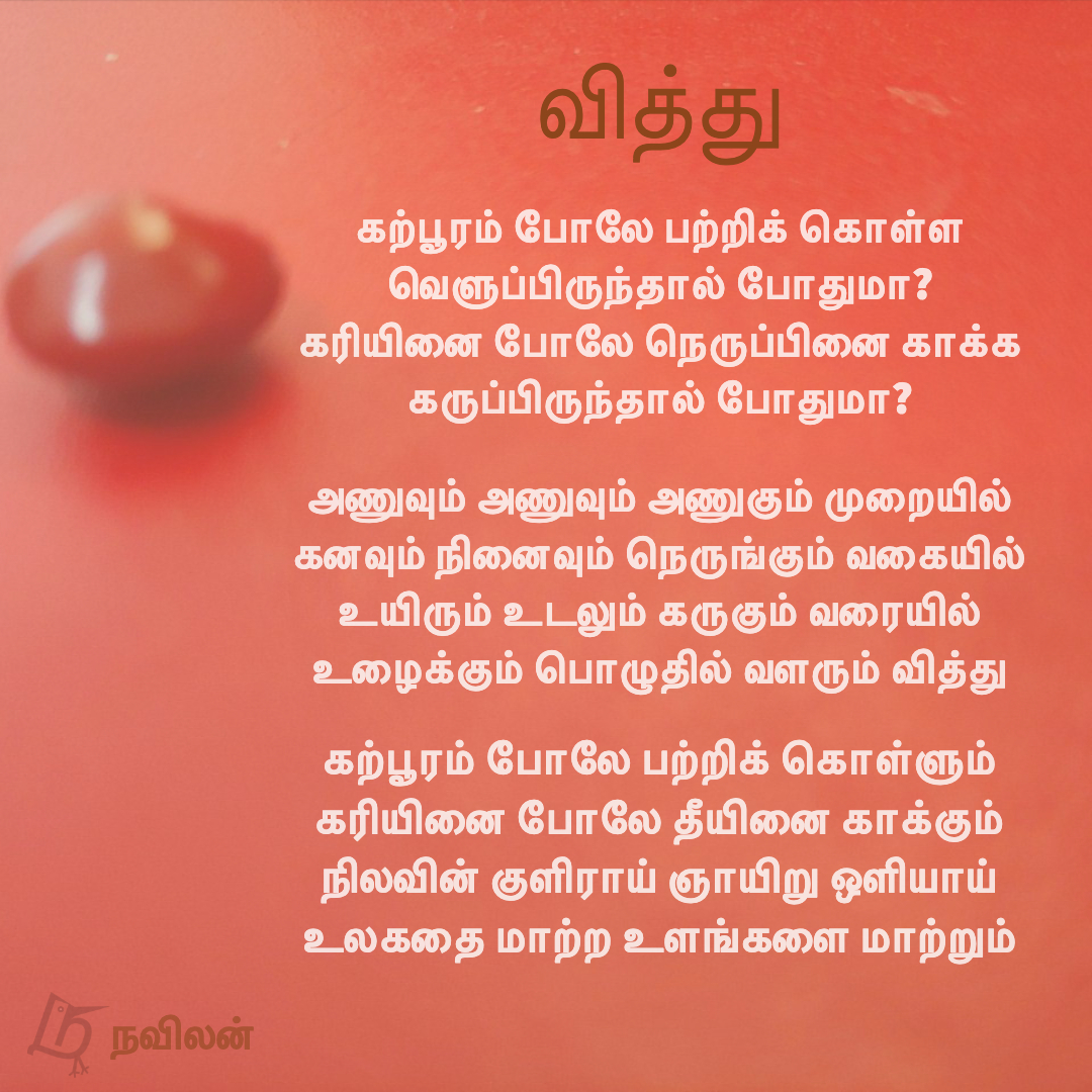 வித்து - நவிலன்
