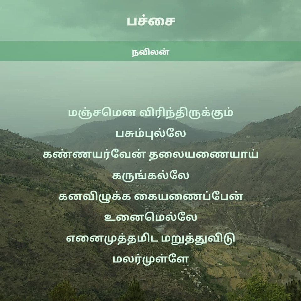 பச்சை - நவிலன்