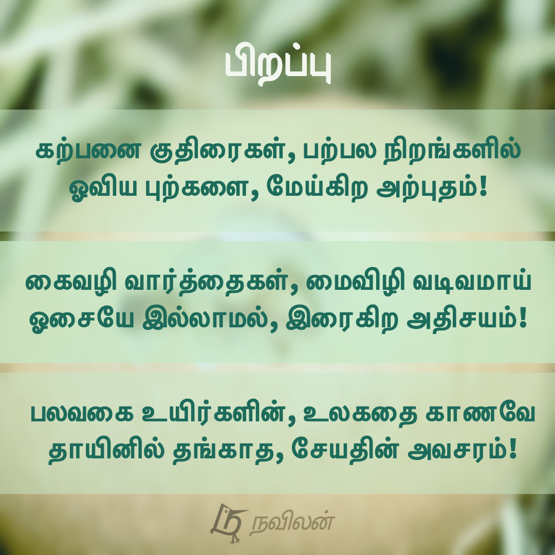 பிறப்பு - நவிலன்