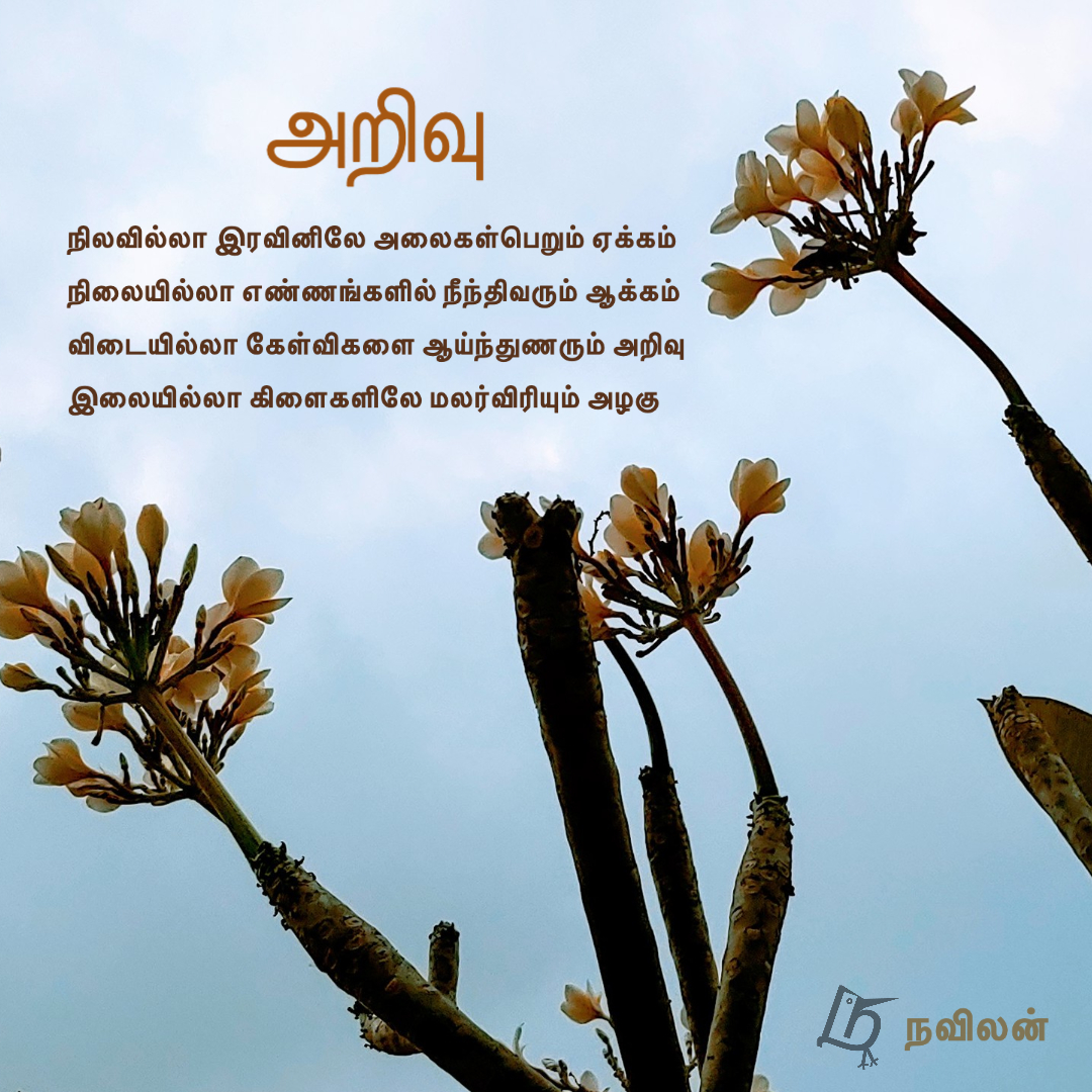 அறிவு - நவிலன்